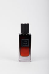 Ysl cuir